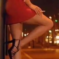 Miranda-do-Corvo prostituta